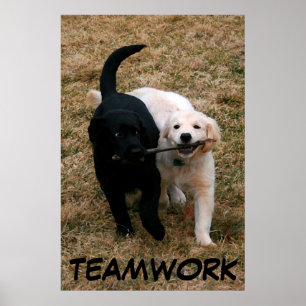 Schwarzes u. weißes Welpenplakat Poster