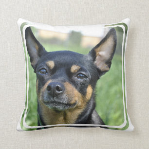 Schwarzes und Brown-Chihuahua-Kissen Kissen