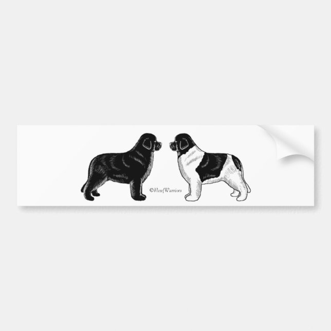 Schwarzes und Landseer Neufundland Hunde Autoaufkleber (Vorne)