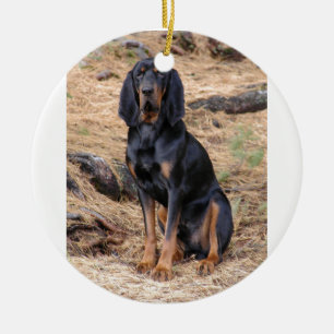 Schwarzes und TANcoonhound-Hund Keramik Ornament