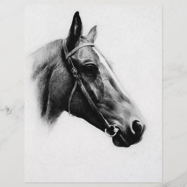 Schwarzes und Weiß Flyer (Vorne)