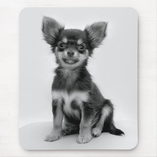 Schwarzes und weißes Chihuahua-Welpe-Foto Mousepad (Vorne)
