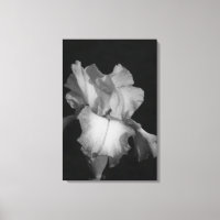 Schwarzes und weißes Iris-Foto