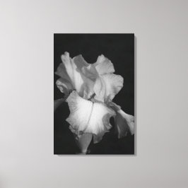 Schwarzes und weißes Iris-Foto Leinwanddruck