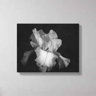 Schwarzes und weißes Iris-Foto Leinwanddruck