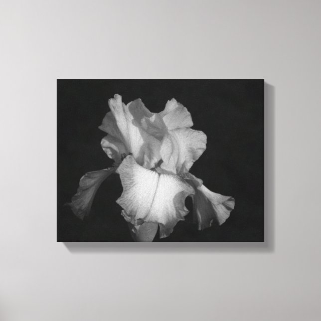 Schwarzes und weißes Iris-Foto Leinwanddruck (Vorderseite)