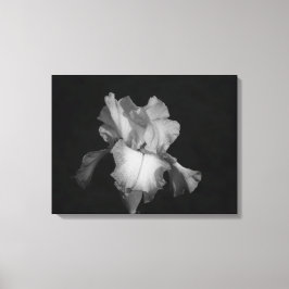 Schwarzes und weißes Iris-Foto Leinwanddruck
