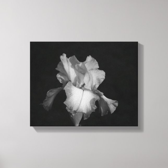 Schwarzes und weißes Iris-Foto Leinwanddruck (Vorderseite)