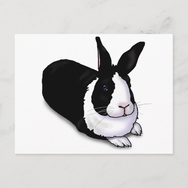 Schwarzes und weißes Kaninchen Postkarte (Vorderseite)