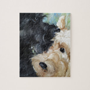 Schwarzes und wheaten schottische Terrier