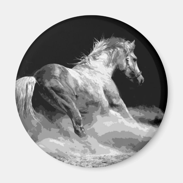 Schwarzes & Weiß Pferd in Aktion Magnet (Vorne)