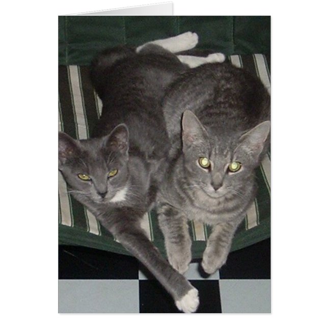 Schwarzes, Weiß u. Grau (Vorne)