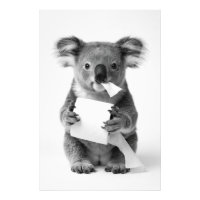 Schwarzes Weißes Süßes Koala mit Toilettenpapier