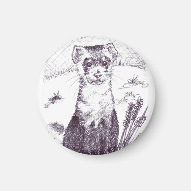 Schwarzfußbrille - Magnet (Vorne)