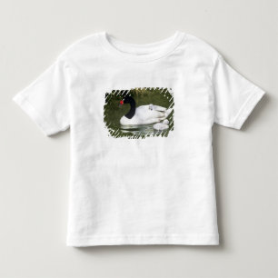 Schwarzhals-Schwan erwachsen und Küken im Wasser. Kleinkind T-shirt