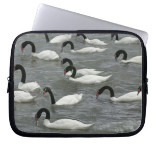 Schwarzhals-Schwäne (Cygnus melancoryphus) Laptopschutzhülle