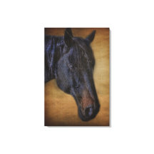 Schwarzhornportrait auf rustikalem Pergament-Effek