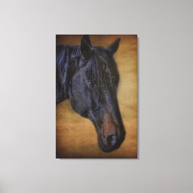 Schwarzhornportrait auf rustikalem Pergament-Effek Leinwanddruck (Vorderseite)