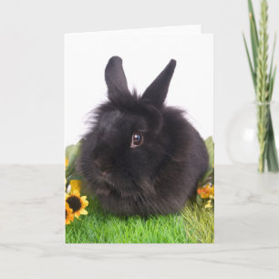 Schwarzkaninchen Feiertagskarte