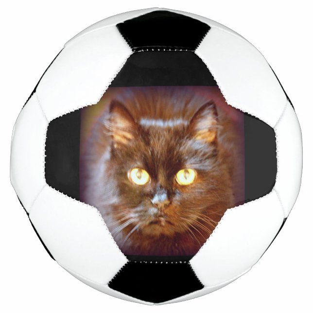 Schwarzkatze Fußball (Vorderseite)