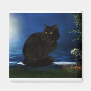 Schwarzkatzenkatze Magnet