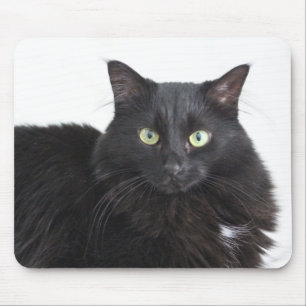 Schwarzkatzenmousepad Mousepad