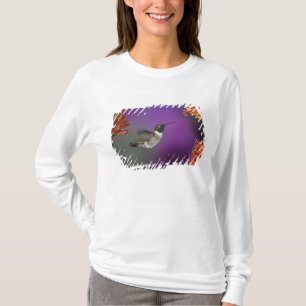 Schwarzkehlnymphe, Archilochus alexandri, T-Shirt