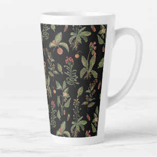 Schwarzkernkraut Milchtasse