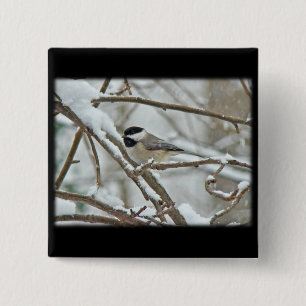 Schwarzkichererbse im Schneesturm Button