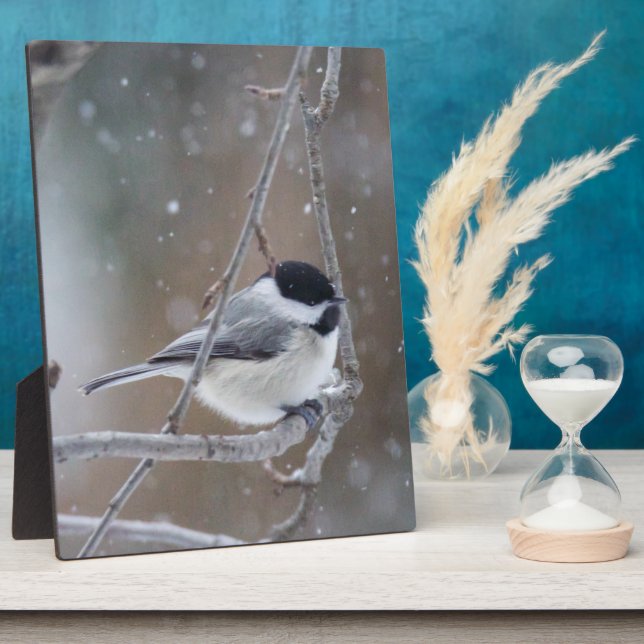 Schwarzkichererbse - Songbird Fotoplatte (Seite)