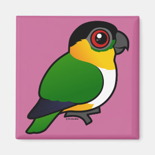 Schwarzköpfiger Papagei Magnet