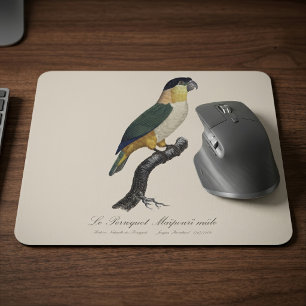 Schwarzkopfpapagei, Pionites Melanocephalus Mousepad