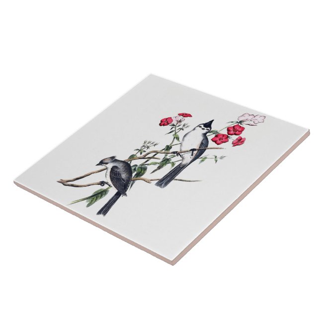 SCHWARZKRESTIERTE TIMOUSKachel Fliese (Seite)