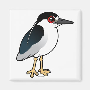 Schwarzkronenheron Magnet