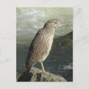 Schwarzkronenpostkarte Postkarte