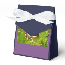 Schwarzmonarchgeschenk