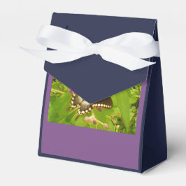 Schwarzmonarchgeschenk Geschenkschachtel