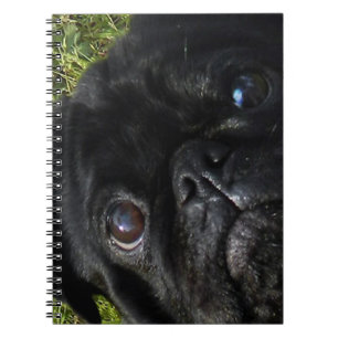 SchwarzMops Augen Notizblock