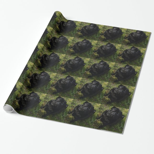 SchwarzMops full.png Geschenkpapier (Ungerollt)