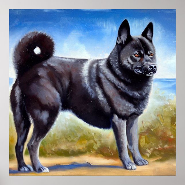 Schwarznorwegischer Elkhound-Hund Poster (Vorne)