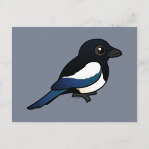 Schwarzschnabelmagpie Postkarte
