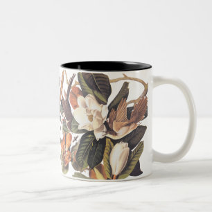 Schwarzschnabelvögel Zweifarbige Tasse