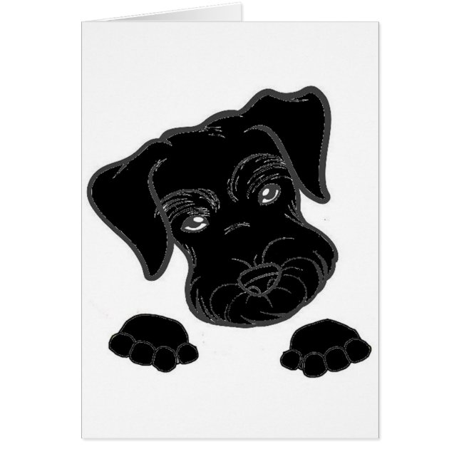 Schwarzschnauzer (Vorne)