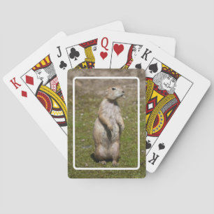 Schwarzschwanz-Präriehund-Wildfotografie Spielkarten