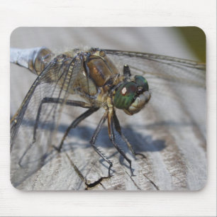 Schwarzschwänzchen Mousepad