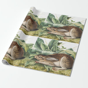 Schwarzschwanzhase (Lepus negricaudatus) Geschenkpapier