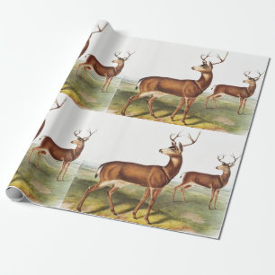 Schwarzschwanzhirsche (Cervus Richardsonii) Geschenkpapier
