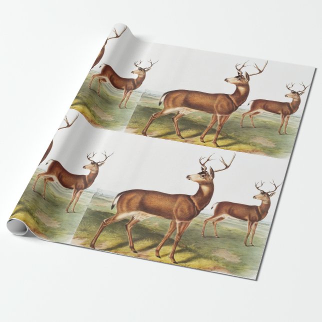 Schwarzschwanzhirsche (Cervus Richardsonii) Geschenkpapier (Ungerollt)