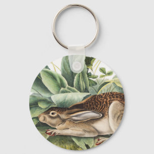 Schwarzschwanzkaninchen (Lepus negricaudatus) Schlüsselanhänger