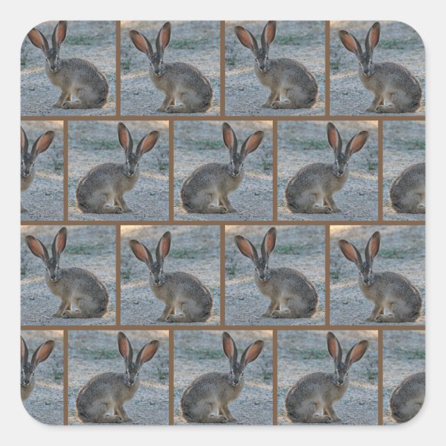 Schwarzschwanzkaninchen Quadratischer Aufkleber (Vorderseite)